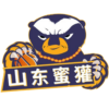 山东蜜獾